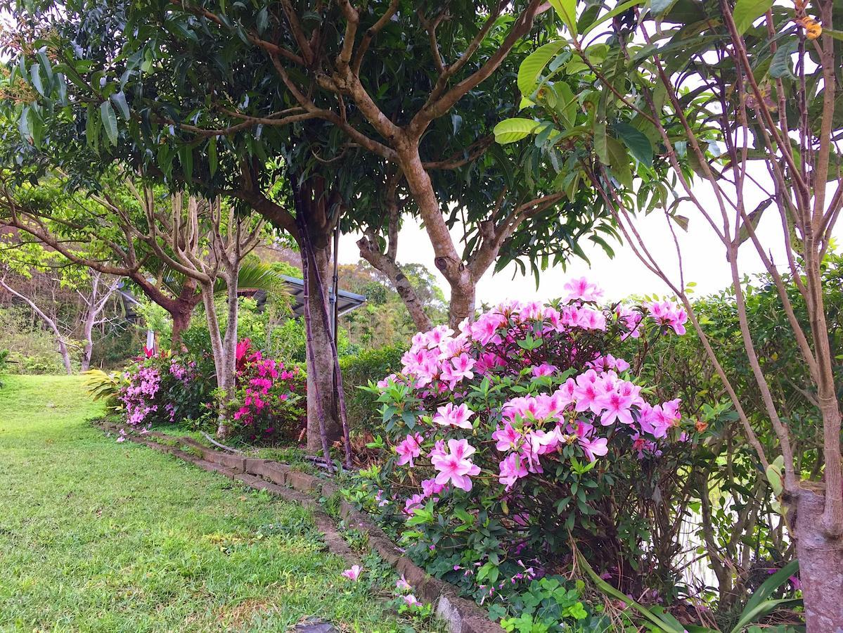 Jiu An Qing Jing Homestay Fuli Buitenkant foto